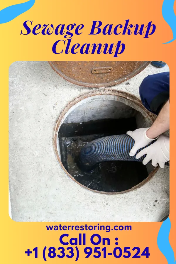 Sewage Backup Cleanup in Webster Groves, MO
